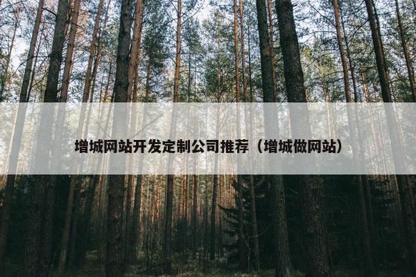 增城网站开发定制公司推荐（增城做网站）