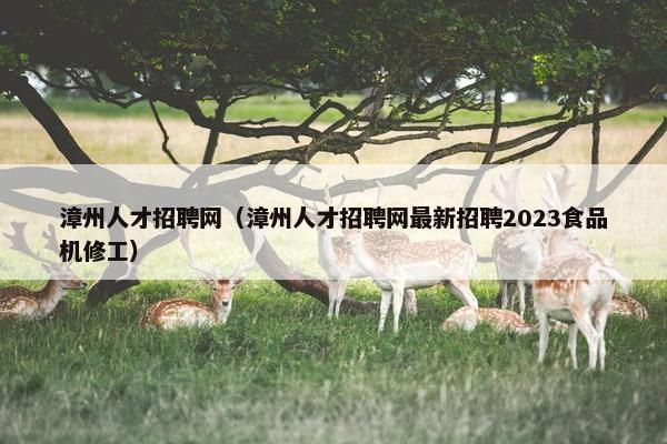 漳州人才招聘网（漳州人才招聘网最新招聘2023食品机修工）