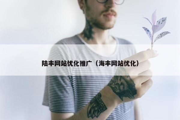 陆丰网站优化推广（海丰网站优化）