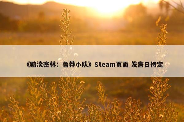 《黯淡密林：鲁莽小队》Steam页面 发售日待定