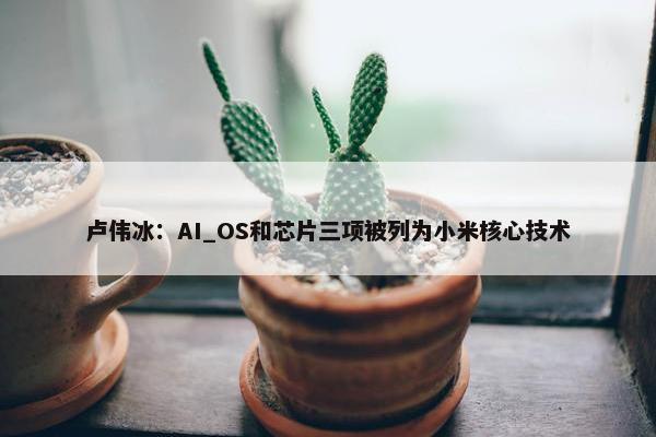 卢伟冰：AI_OS和芯片三项被列为小米核心技术