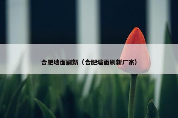 合肥墙面刷新（合肥墙面刷新厂家）