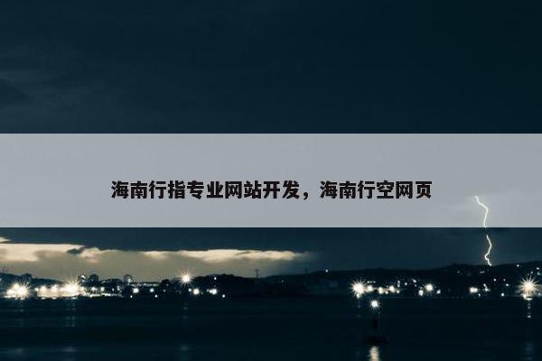 海南行指专业网站开发，海南行空网页