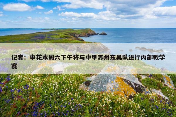 记者：申花本周六下午将与中甲苏州东吴队进行内部教学赛