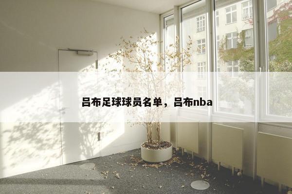 吕布足球球员名单，吕布nba