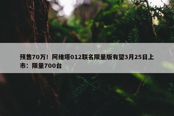 预售70万！阿维塔012联名限量版有望3月25日上市：限量700台