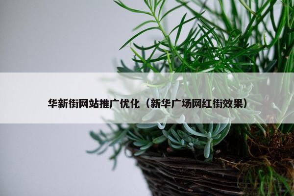 华新街网站推广优化（新华广场网红街效果）