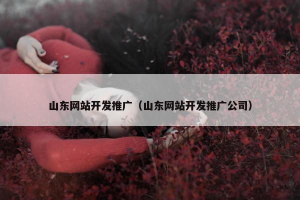 山东网站开发推广（山东网站开发推广公司）