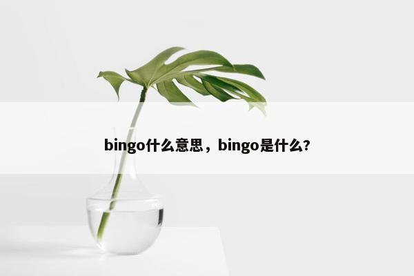 bingo什么意思，bingo是什么?