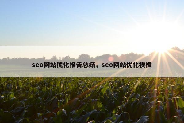 seo网站优化报告总结，seo网站优化模板