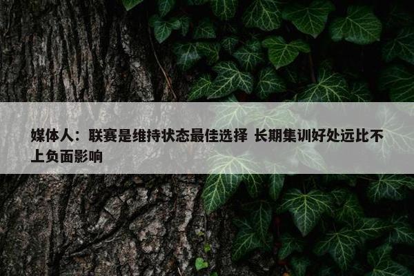 媒体人：联赛是维持状态最佳选择 长期集训好处远比不上负面影响