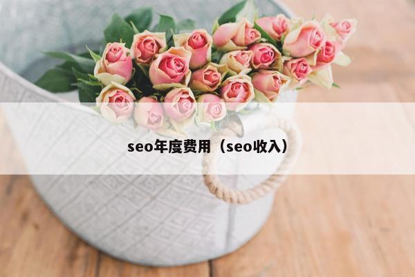 seo年度费用（seo收入）