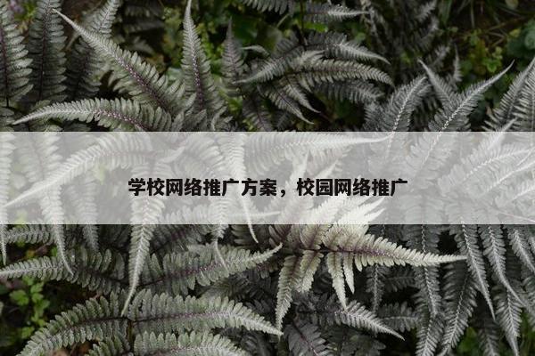 学校网络推广方案，校园网络推广