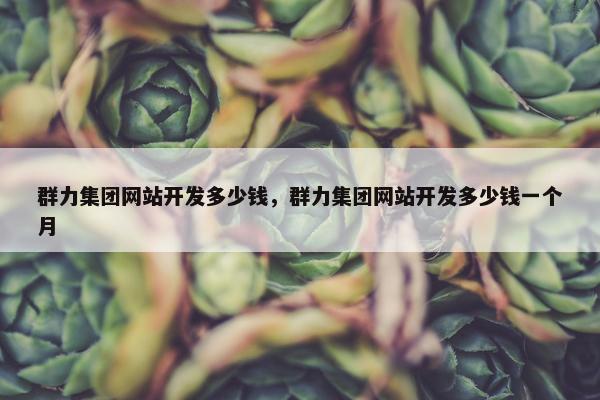 群力集团网站开发多少钱，群力集团网站开发多少钱一个月