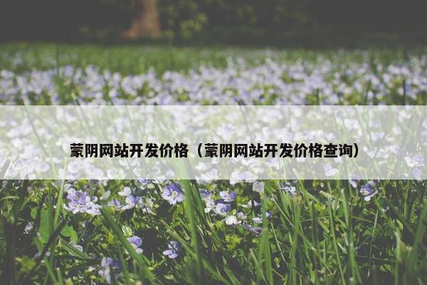 蒙阴网站开发价格（蒙阴网站开发价格查询）