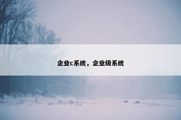 企业c系统，企业级系统