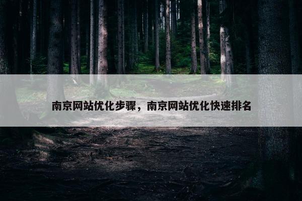 南京网站优化步骤，南京网站优化快速排名