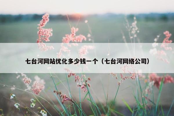 七台河网站优化多少钱一个（七台河网络公司）