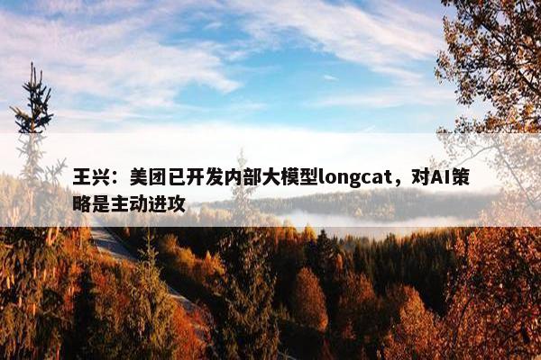 王兴：美团已开发内部大模型longcat，对AI策略是主动进攻