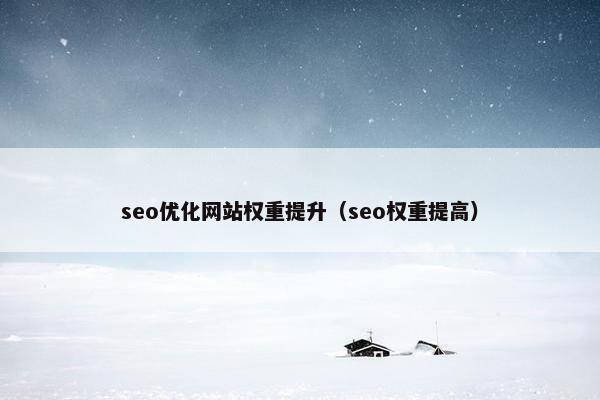 seo优化网站权重提升（seo权重提高）