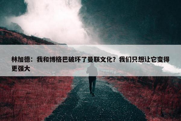 林加德：我和博格巴破坏了曼联文化？我们只想让它变得更强大