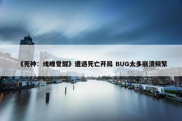 《死神：魂魄觉醒》遭遇死亡开局 BUG太多崩溃频繁