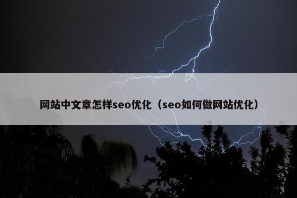 网站中文章怎样seo优化（seo如何做网站优化）