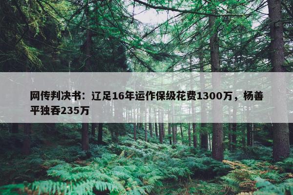 网传判决书：辽足16年运作保级花费1300万，杨善平独吞235万