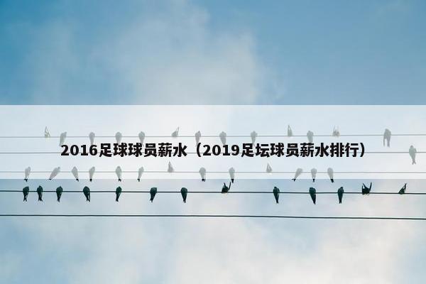 2016足球球员薪水（2019足坛球员薪水排行）