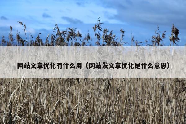 网站文章优化有什么用（网站发文章优化是什么意思）