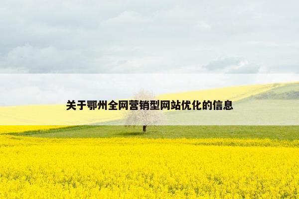 关于鄂州全网营销型网站优化的信息