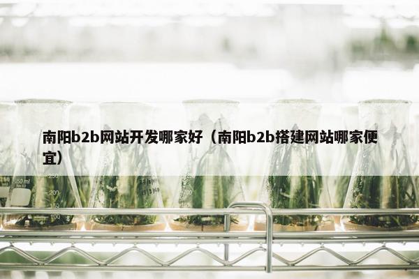 南阳b2b网站开发哪家好（南阳b2b搭建网站哪家便宜）