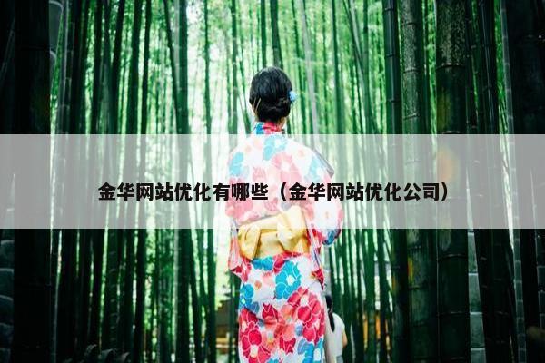 金华网站优化有哪些（金华网站优化公司）