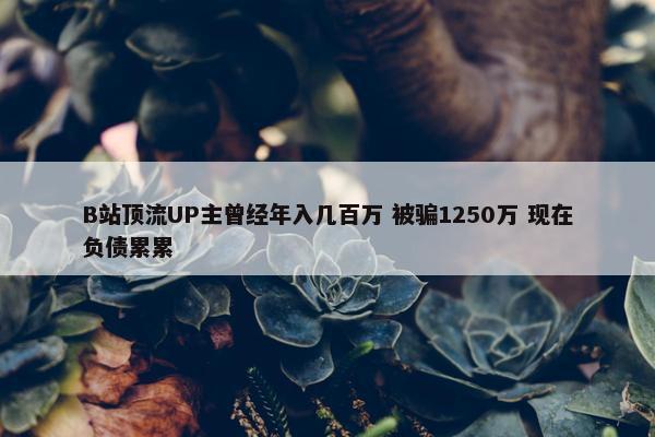 B站顶流UP主曾经年入几百万 被骗1250万 现在负债累累