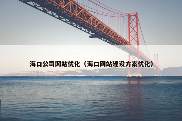 海口公司网站优化（海口网站建设方案优化）