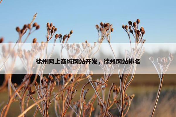 徐州网上商城网站开发，徐州网站排名