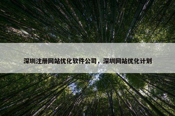 深圳注册网站优化软件公司，深圳网站优化计划