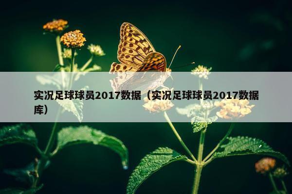 实况足球球员2017数据（实况足球球员2017数据库）