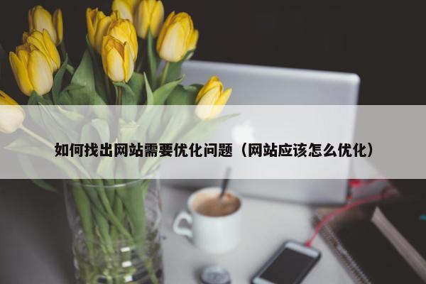 如何找出网站需要优化问题（网站应该怎么优化）